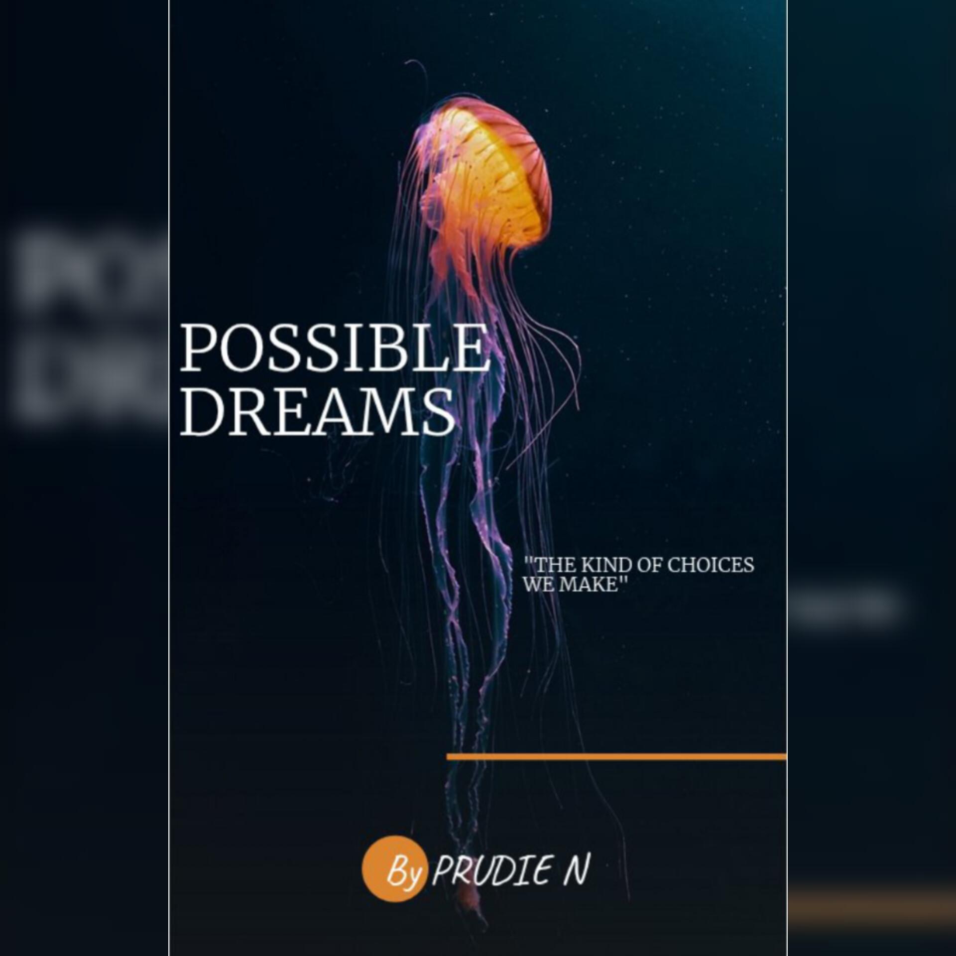 Possible Dreams cover