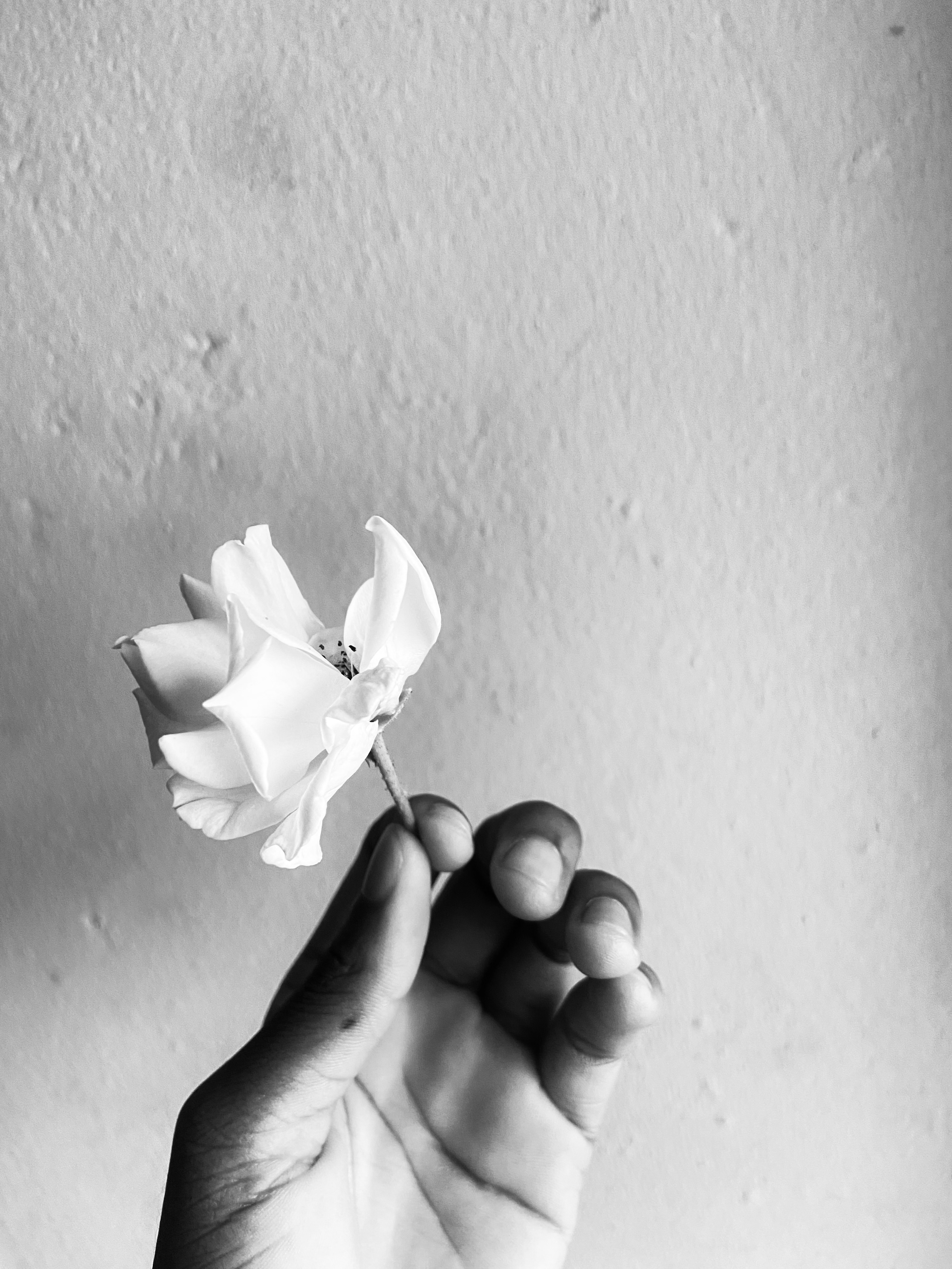 Corith Mnisi
