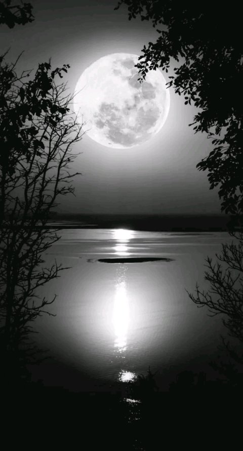 When two worlds collide 