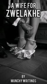 A wife for Zwelakhe cover