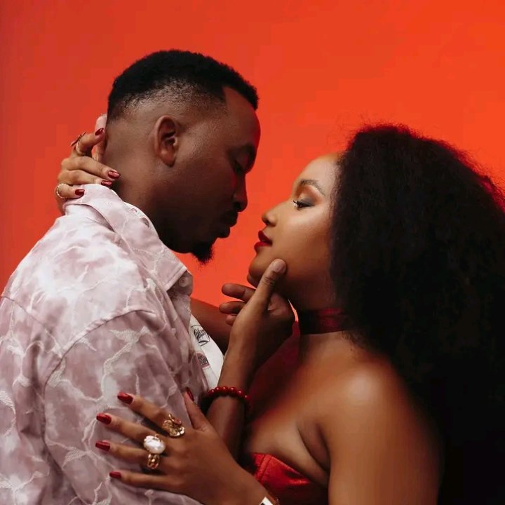 I HAD A CRUSH ON NEW MENEER Cover