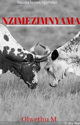 NZIMEZIMNYAMA