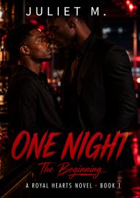 ONE NIGHT: THE BEGINNING...
