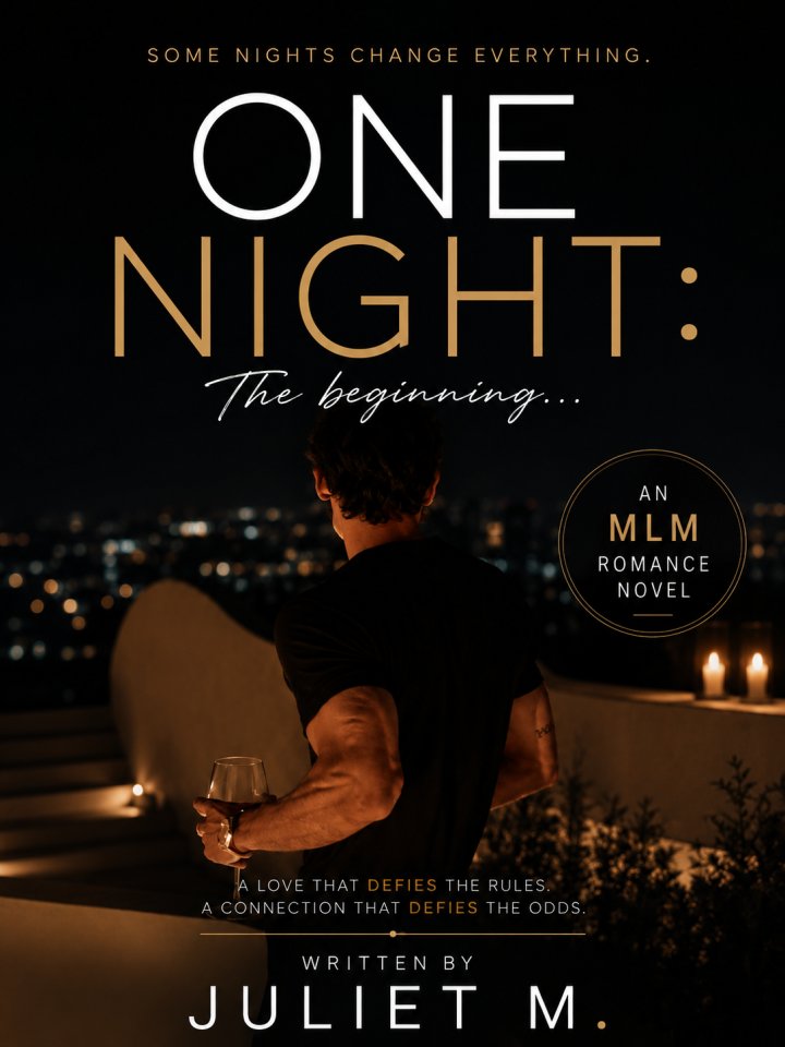 ONE NIGHT: THE BEGINNING... cover
