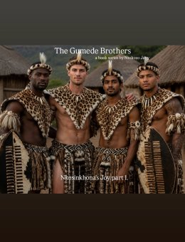 The gumede brothers