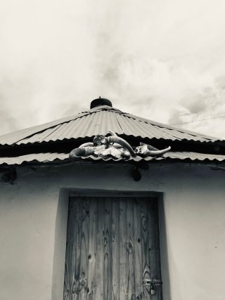 The Unexpected Harvest 