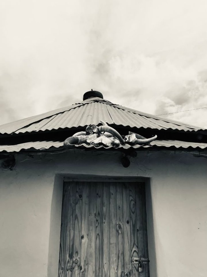 The Unexpected Harvest  Cover