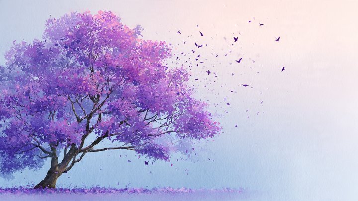 Purple under the jacaranda Cover