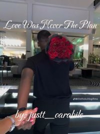 Love Was Never The Plan