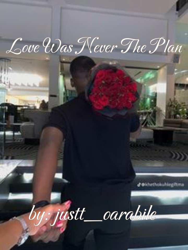 Love Was Never The Plan Cover
