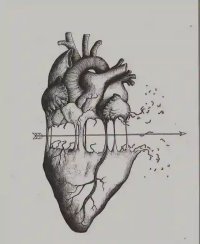 A Broken Promise