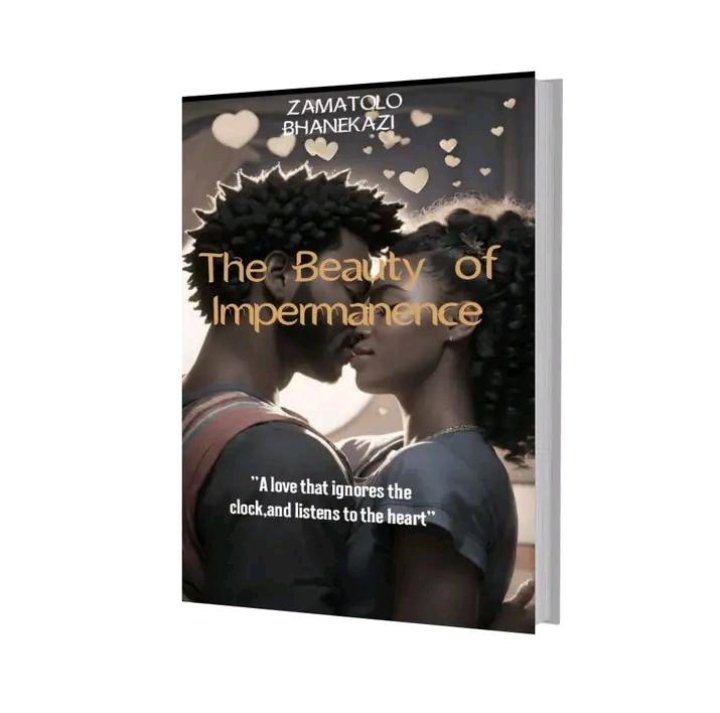 THE BEAUTY OF IMPERMANENCE. Cover