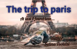 The trip to paris