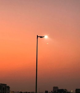 The Accidental Poet